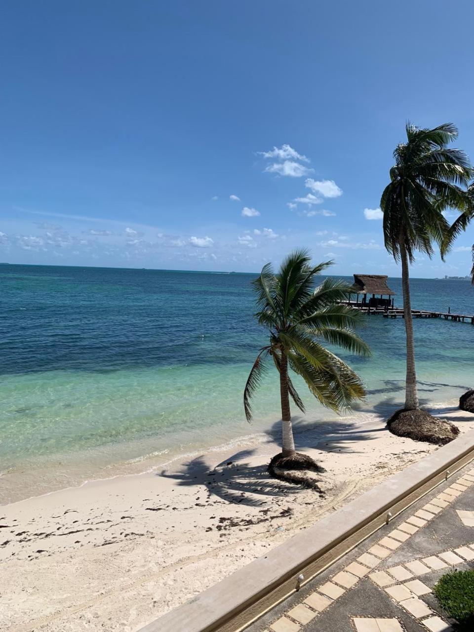 Cancun Ocean View Flamingo Plus Exterior photo